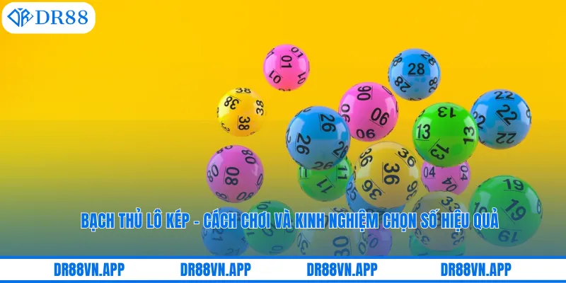 Bạch Thủ Lô Kép – Cách Chơi Và Kinh Nghiệm Chọn Số Hiệu Quả 1 Bạch Thủ Lô Kép – Cách Chơi Và Kinh Nghiệm Chọn Số Hiệu Quả