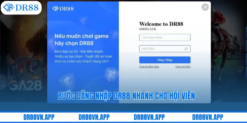 Bước đăng nhập DR88 nhanh cho hội viên