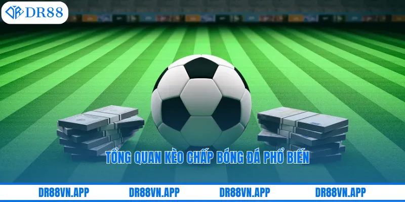 Tổng quan kèo chấp bóng đá phổ biến Tổng quan kèo chấp bóng đá phổ biến